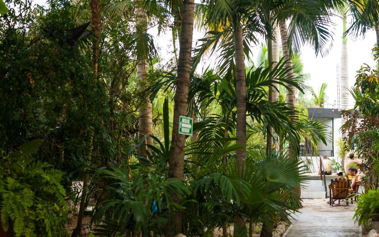 Hostel Oryx Tulum Exterior photo