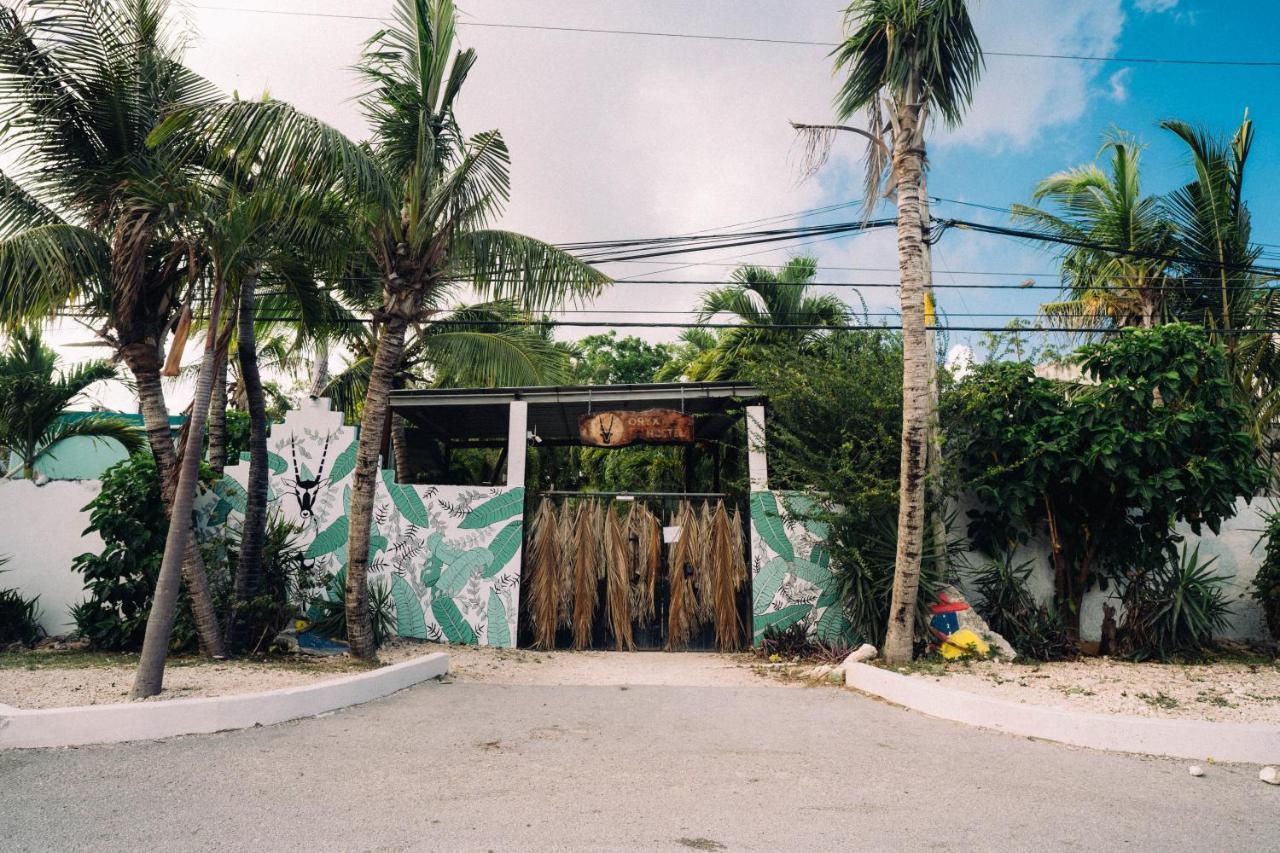 Hostel Oryx Tulum Exterior photo