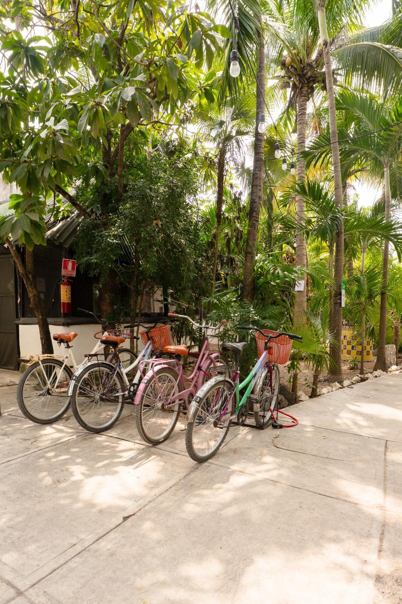 Hostel Oryx Tulum Exterior photo